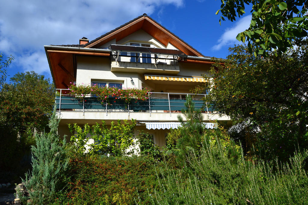 Anna Apartment Budaors Bagian luar foto